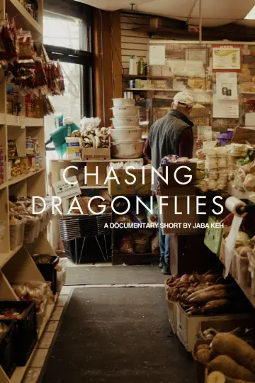 Poster to the movie "Chasing Dragonflies" #917982
