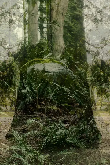 Poster to the movie "Vertical Remains" #912946