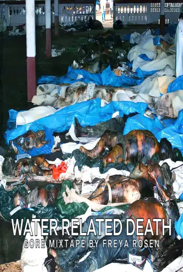 Poster to the movie "Water Related Death" #921949