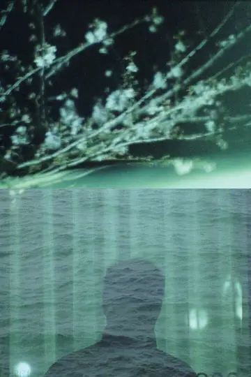 The Castaway poster