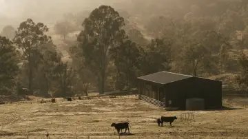 Backdrop to the movie "Bug Bite" #913713