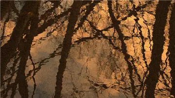Backdrop to the movie "Home Movie" #920927