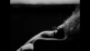 Backdrop to the movie "Anatomía de un retrato" #920135