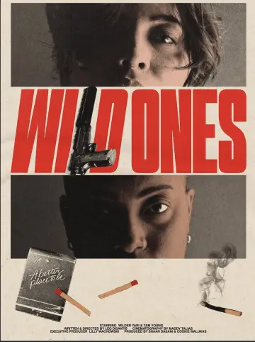 Wild Ones poster