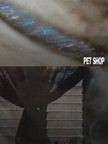 Poster to the movie "Pet Shop" #914397
