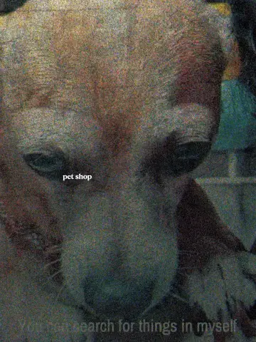 Poster to the movie "Pet Shop" #928187