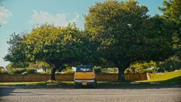Backdrop to the movie "Little High" #921144