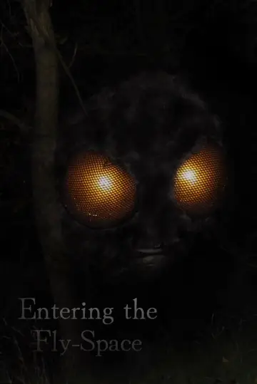 Entering the Fly-Space poster