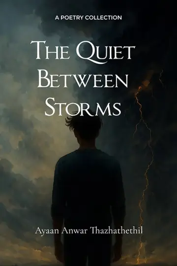 The Quiet Between Storms poster