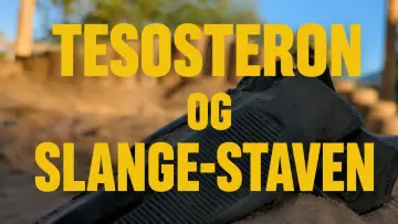 Backdrop to the movie "TESTOSTERON OG SLANGE-STAVEN" #952880