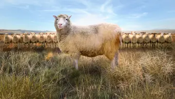 Backdrop to the movie "Dolly: The World