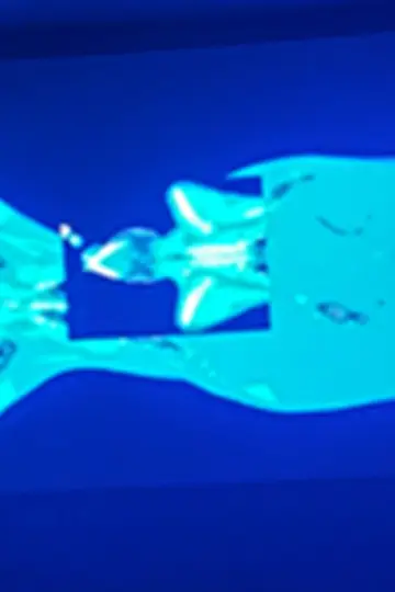 Poster to the movie "X-Ray Katx" #931277