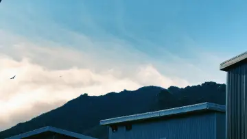 Backdrop to the movie "Sol Summer" #932156