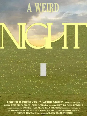 A Weird Night poster