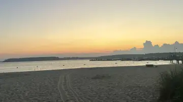 Backdrop to the movie "Zombies on The Beach" #977839