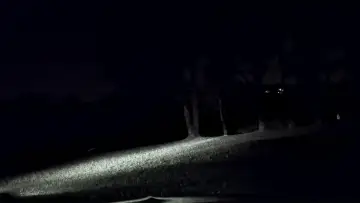Backdrop to the movie "Nightdrive" #955356