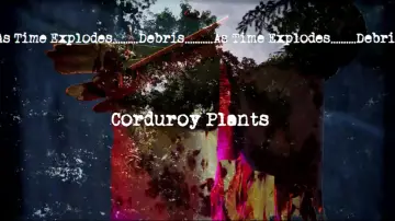 Backdrop to the movie "Corduroy Plants" #955619
