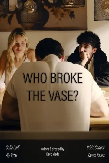 Who broke the vase?