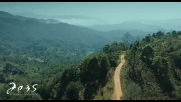 Backdrop to the movie "Apes" #955286