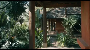 Backdrop to the movie "Apes" #955288