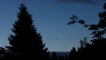 Backdrop to the movie "The Blue Hour" #1159561