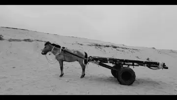 Backdrop to the movie "The Nomad
