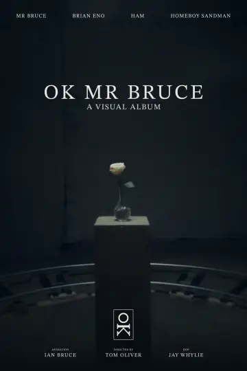 OK MR BRUCE poster