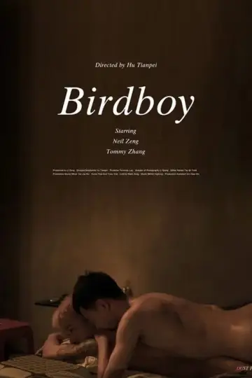 Poster to the movie "Birdboy" #958377