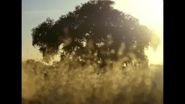 Backdrop to the movie "Stay" #1174350