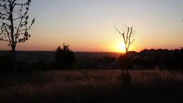 Backdrop to the movie "COULDN
