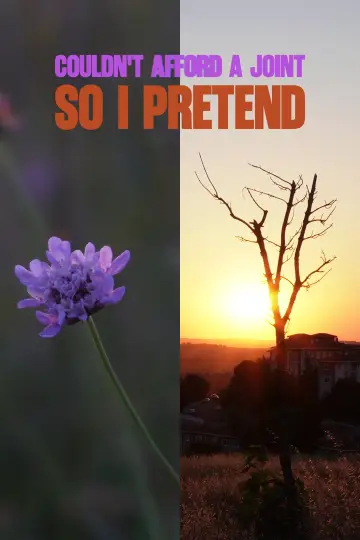 Poster to the movie "COULDN