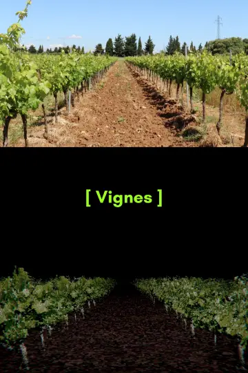 Poster to the movie "[ Vignes ]" #1144628