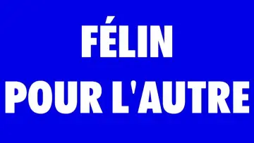 Backdrop to the movie "FÉLIN POUR L