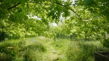 Backdrop to the movie "La Picasso Food Forest" #1159571