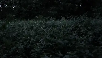 Backdrop to the movie "Ecosystem washing" #1177389
