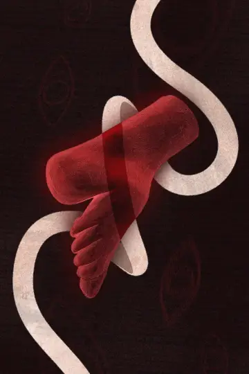 Poster to the movie "Footbinding: A History" #1166331