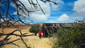 Backdrop to the movie "Tripolar" #1196371