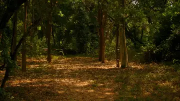 Backdrop to the movie "Here with Me" #1169391