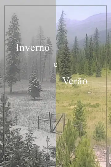 Poster to the movie "Inverno e Verão" #1177503