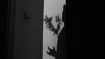Backdrop to the movie "L