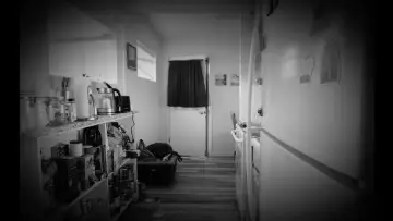 Backdrop to the movie "The Landlord" #1187480