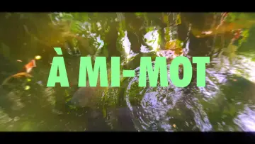 Backdrop to the movie "À MI-MOT" #1187445