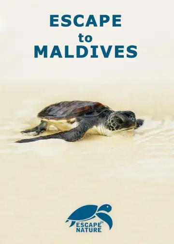 Poster to the movie "Escape to Maldives" #1190954
