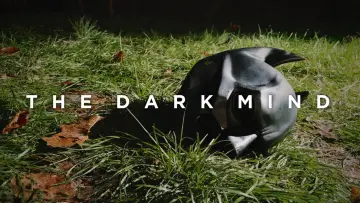 Backdrop to the movie "The Dark Mind" #1651756