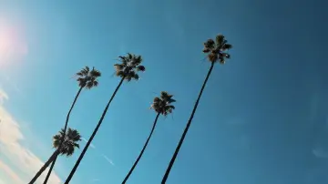 Backdrop to the movie "People & Things" #1196059