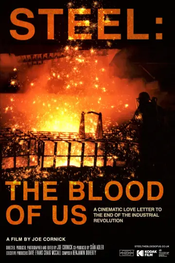 Steel: The Blood Of Us poster