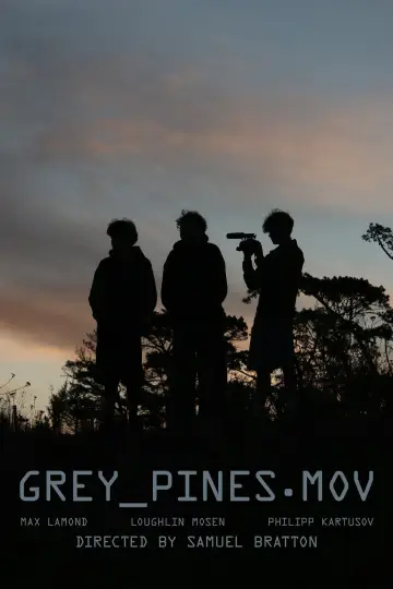 Poster to the movie "Grey_Pines.Mov" #1196517