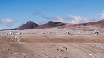 Backdrop to the movie "Musk