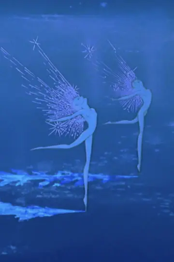 Nutcracker Suite poster