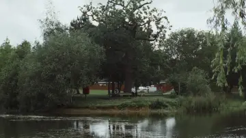 Backdrop to the movie "Fool